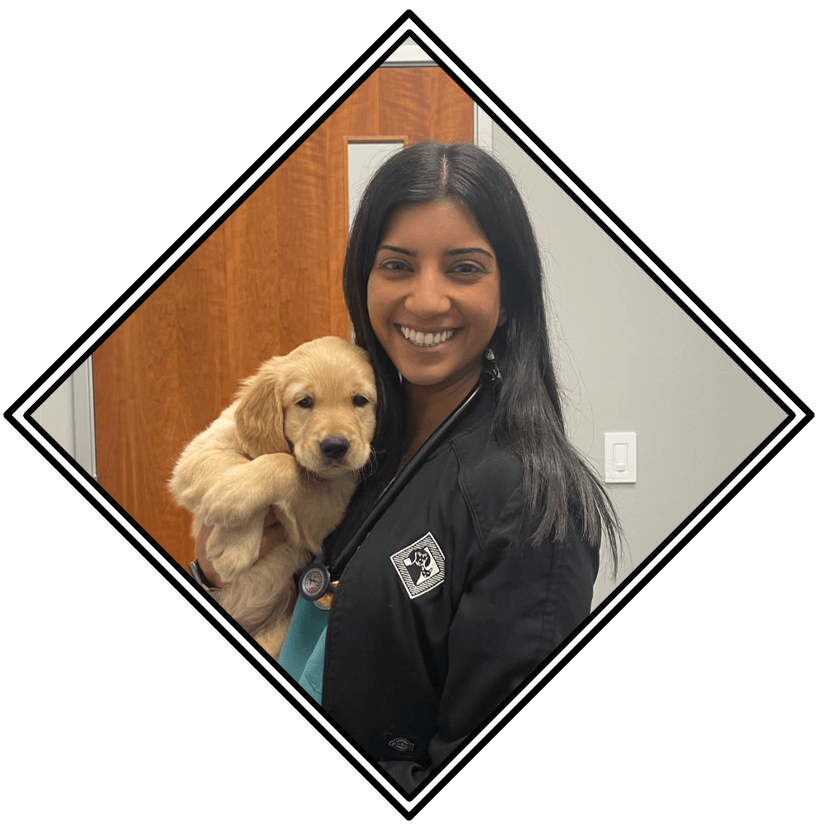 About Our Veterinary Clinic Fishers In About Our Veterinary Clinic Fishers In