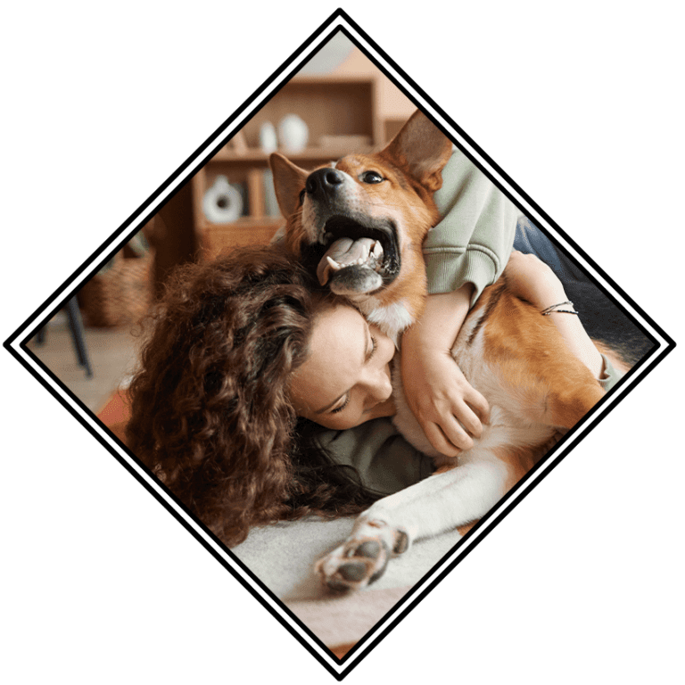 A closer look at Do Older Cats Get Leukemia From Vaccinations